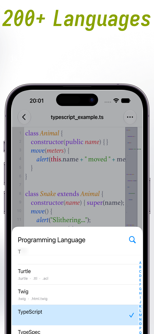 CodeMate screenshot 3